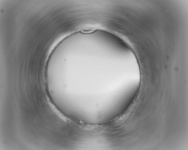 X0000052551056200507221446