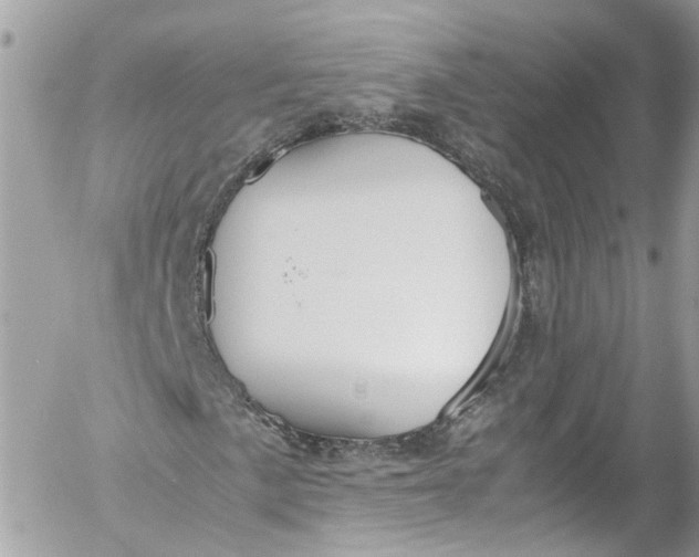 X0000052551057200507221445