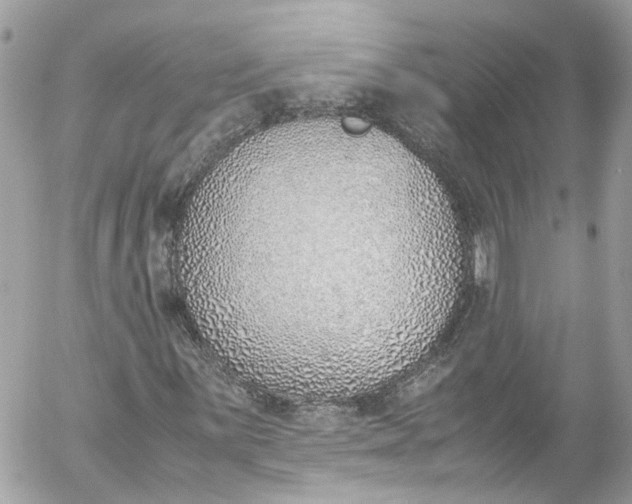 X0000052551059200507221445