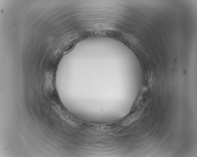 X0000052551060200507221445