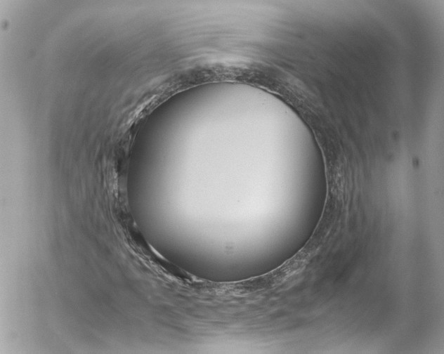 X0000052551061200507221445