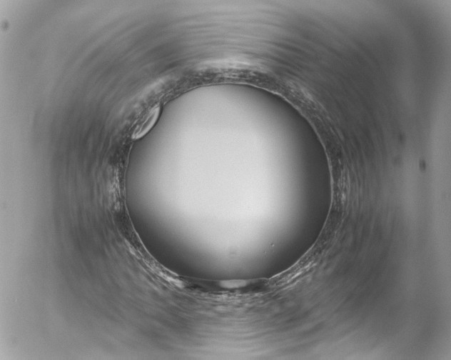 X0000052551062200507221445