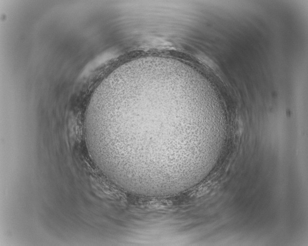 X0000052551063200507221445