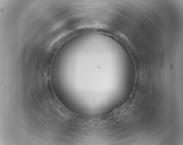 X0000052551064200507221445