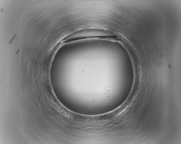 X0000052551065200507221445