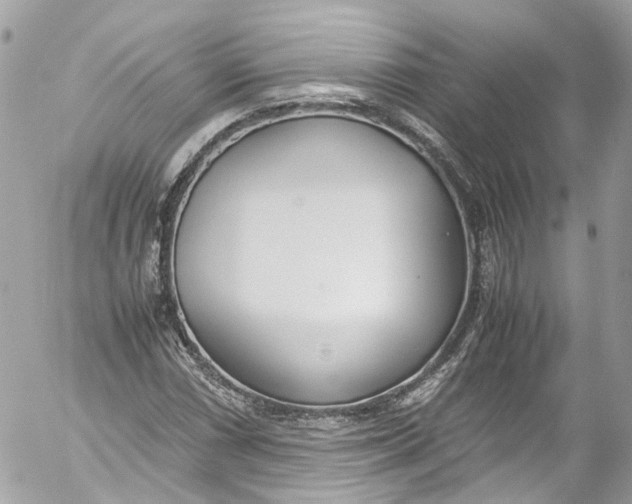 X0000052551066200507221445