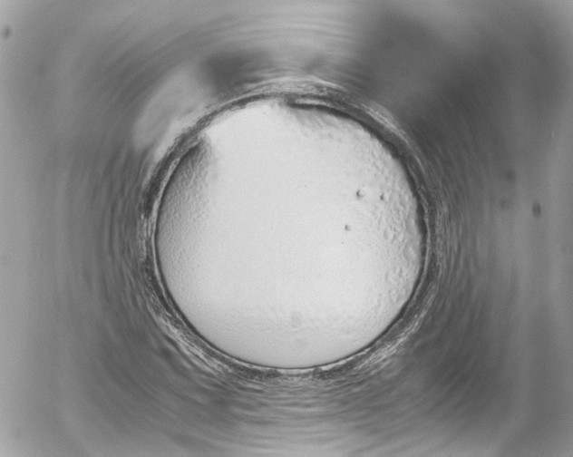 X0000052551067200507221445