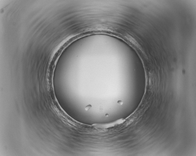 X0000052551068200507221445