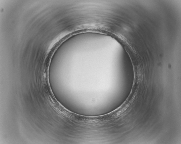 X0000052551070200507221445