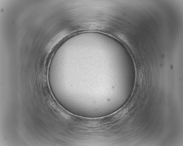 X0000052551071200507221445