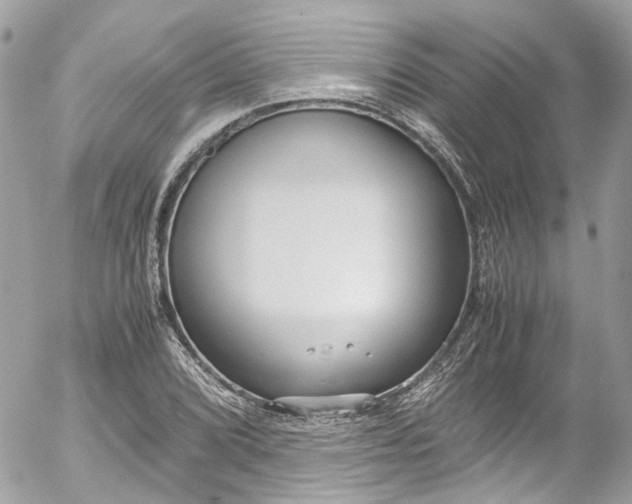 X0000052551072200507221445