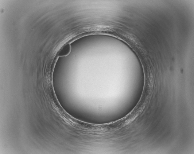 X0000052551073200507221445