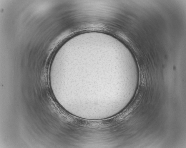 X0000052551074200507221445