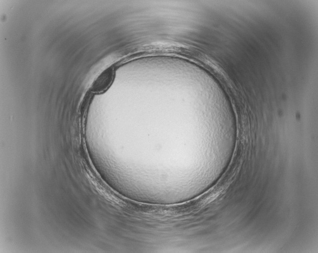 X0000052551075200507221445