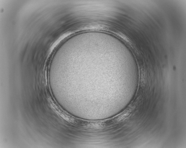 X0000052551078200507221445