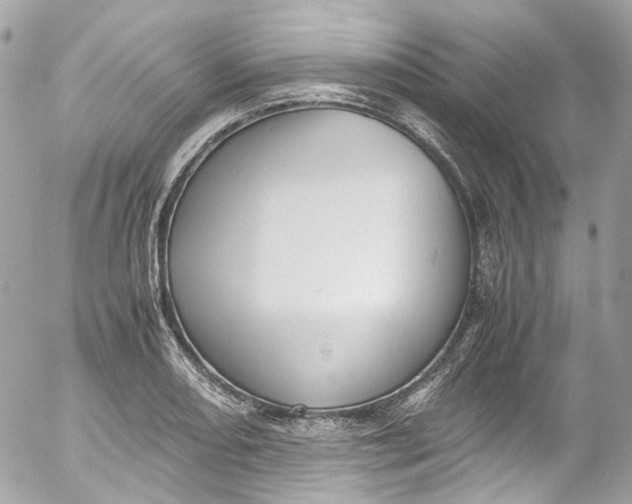 X0000052551082200507221445