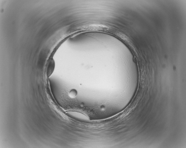 X0000052551083200507221445