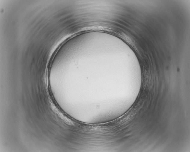 X0000052551084200507221445