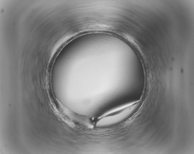 X0000052551085200507221445