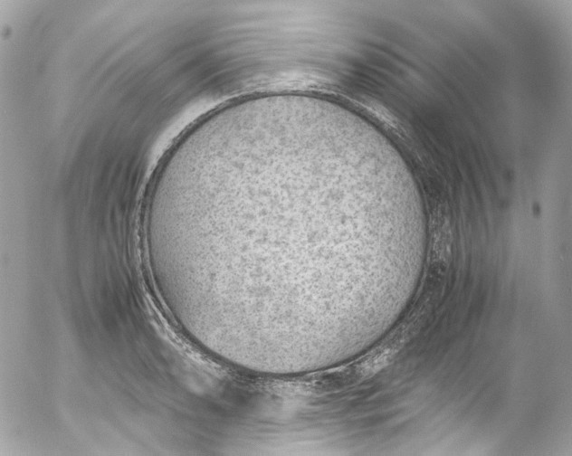 X0000052551086200507221445