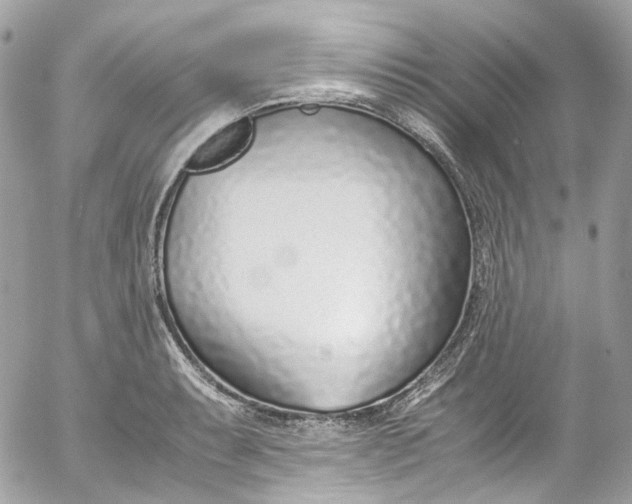 X0000052551087200507221445