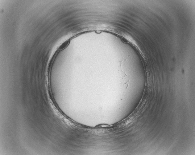 X0000052551088200507221445