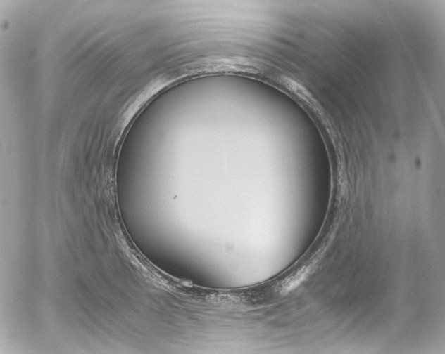 X0000052551089200507221445