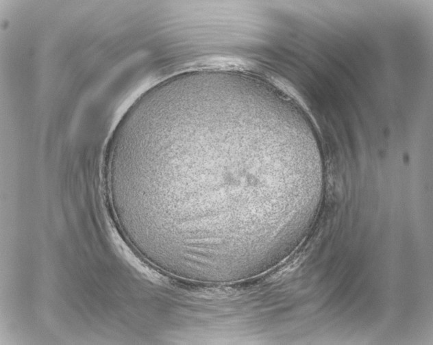 X0000052551091200507221445