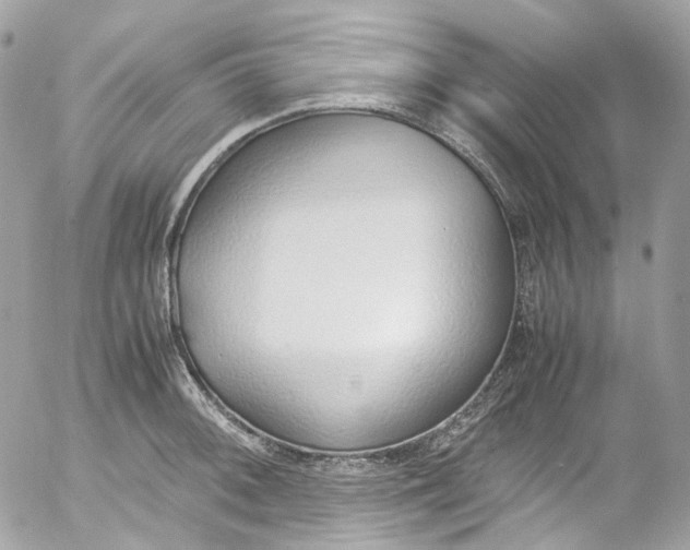 X0000052551092200507221445