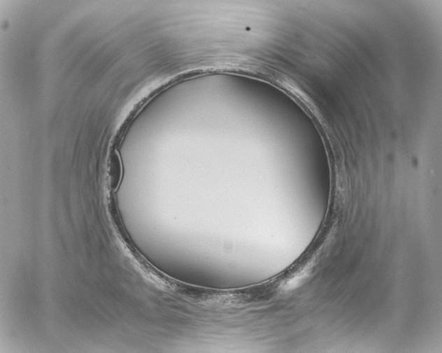 X0000052551093200507221445