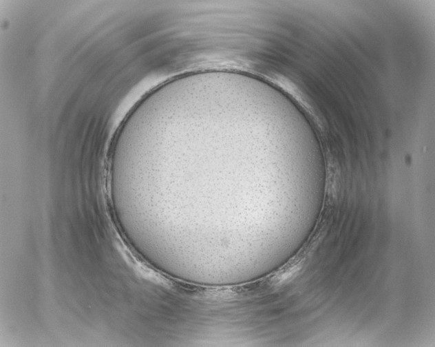 X0000052551094200507221445