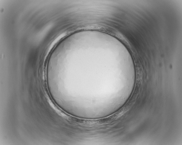 X0000052551095200507221445