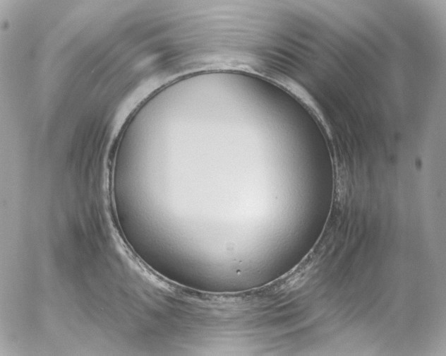 X0000052551096200507221445