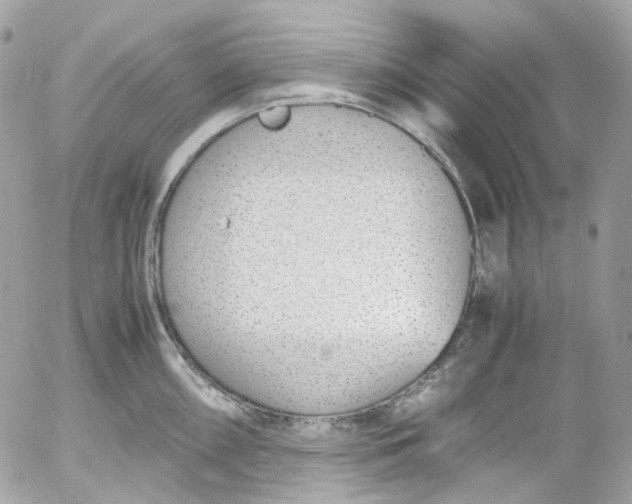 X0000052551098200507221445