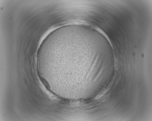 X0000052551099200507221445