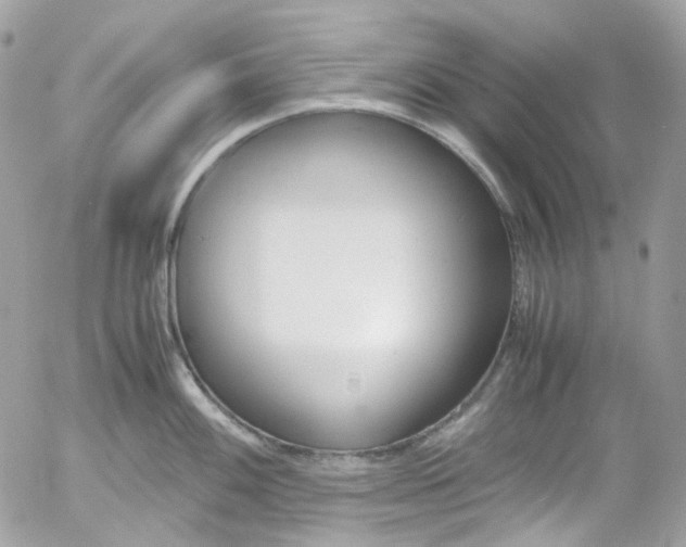 X0000052551100200507221445