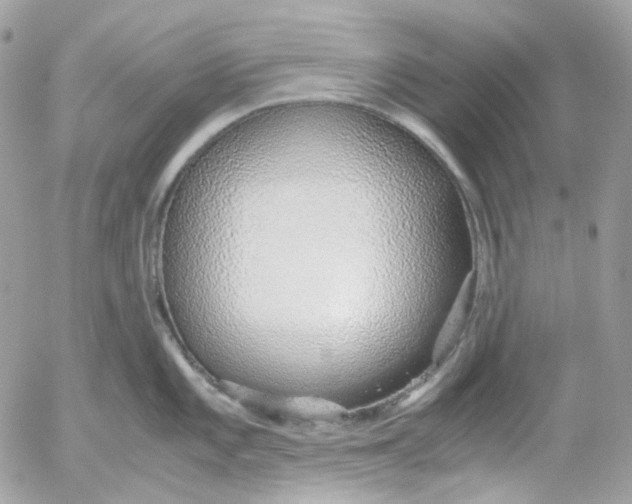 X0000052551101200507221445