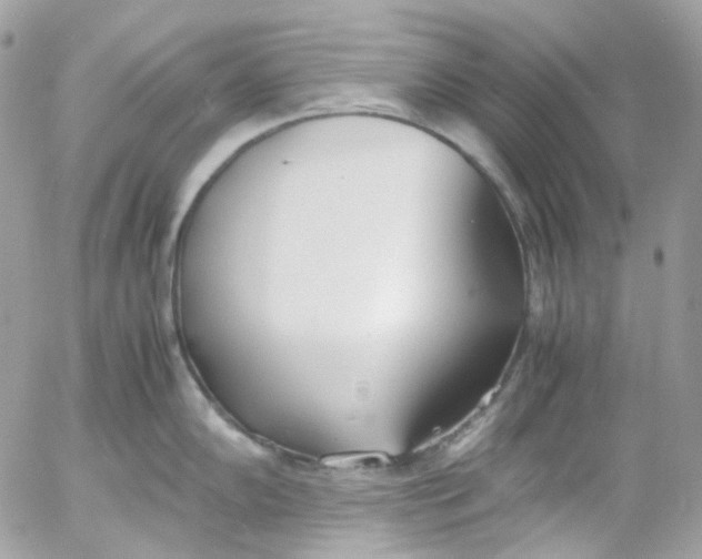 X0000052551102200507221444