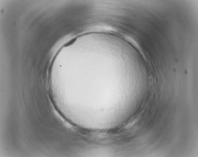 X0000052551103200507221444