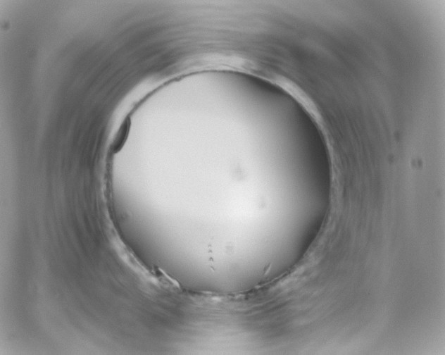 X0000052551104200507221444