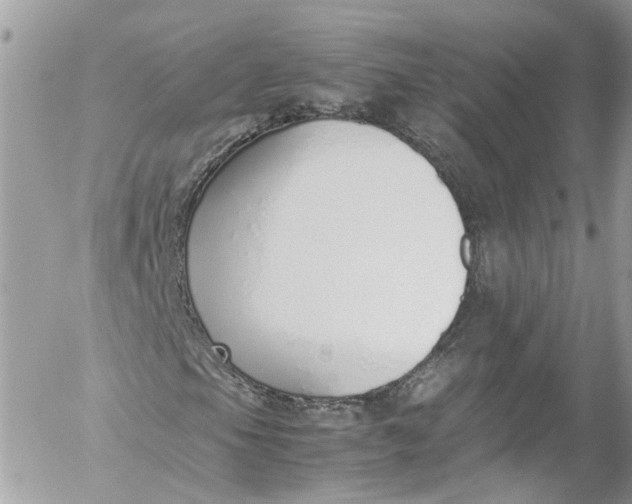 X0000052551105200507221444