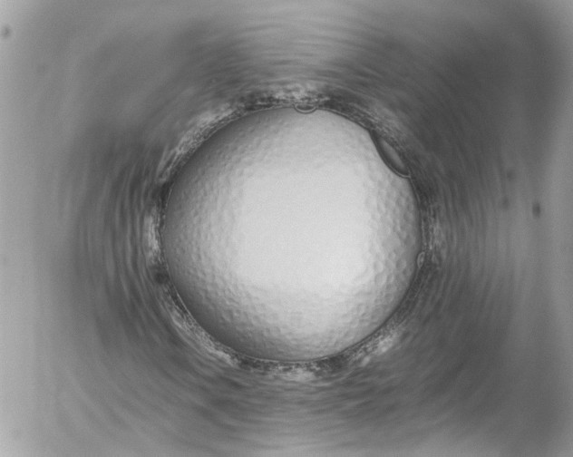 X0000052551106200507221444