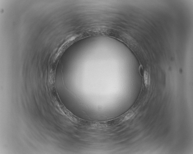 X0000052551107200507221444