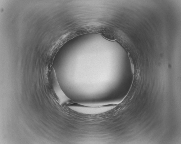 X0000052551108200507221444