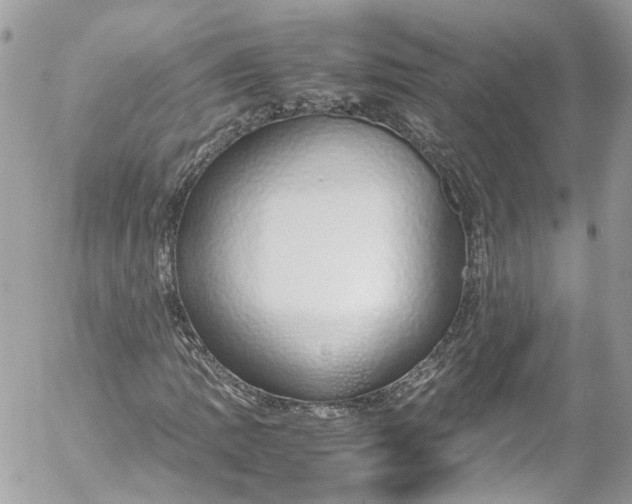 X0000052551109200507221444