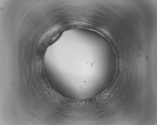 X0000052551111200507221444