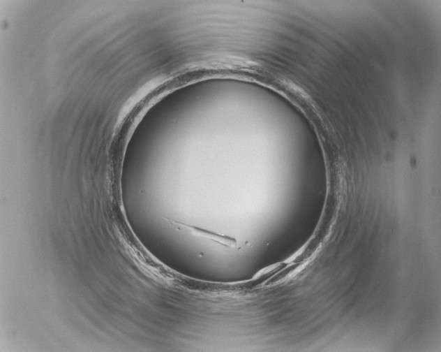 X0000052551114200507221444