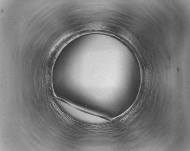 X0000052551115200507221444