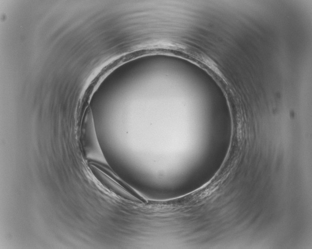 X0000052551116200507221444