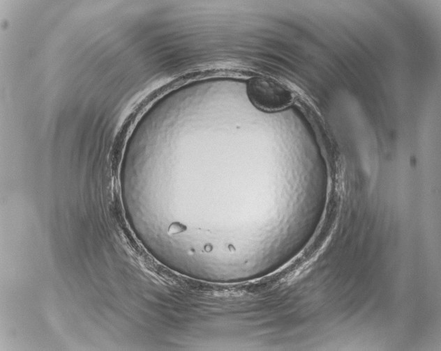 X0000052551117200507221444